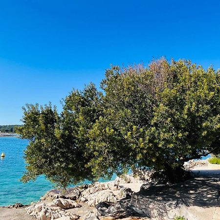 Apartmani Mate Rogoznica  Buitenkant foto