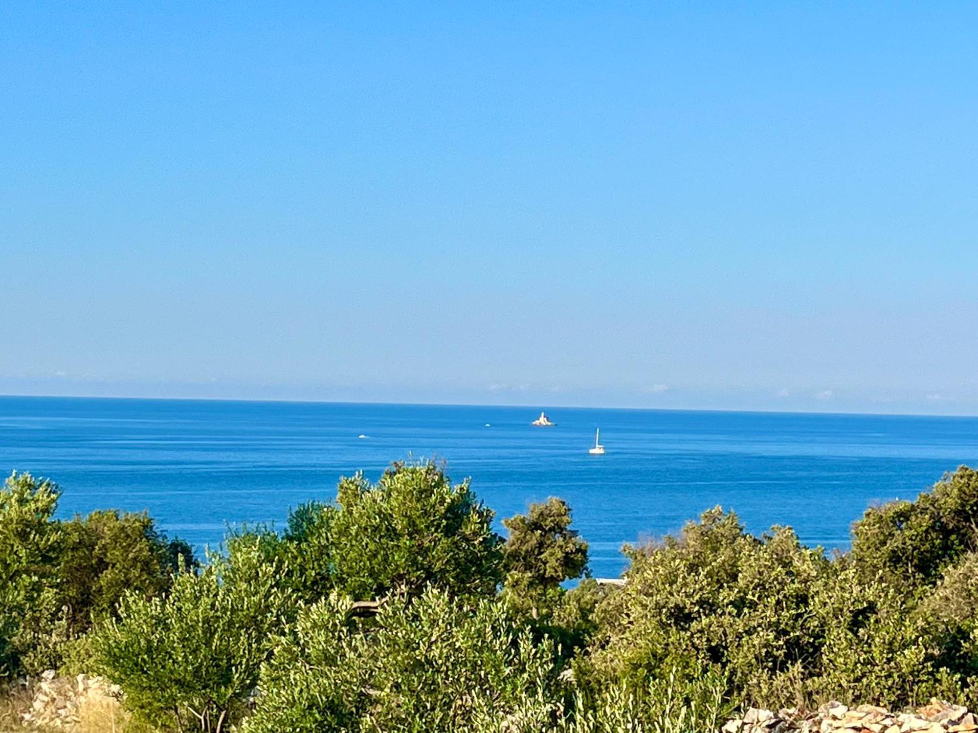 Apartmani Mate Rogoznica  Buitenkant foto