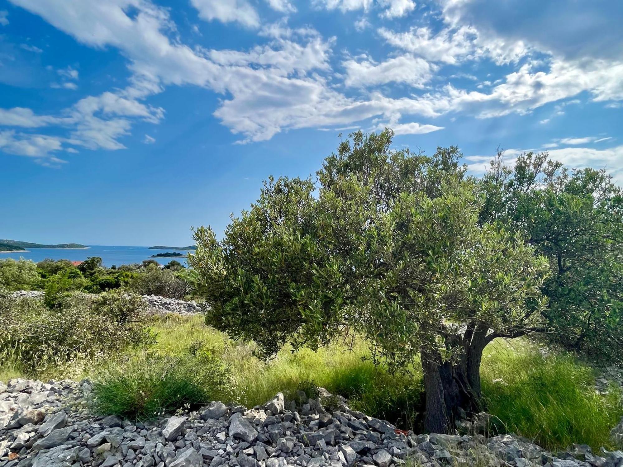 Apartmani Mate Rogoznica  Buitenkant foto